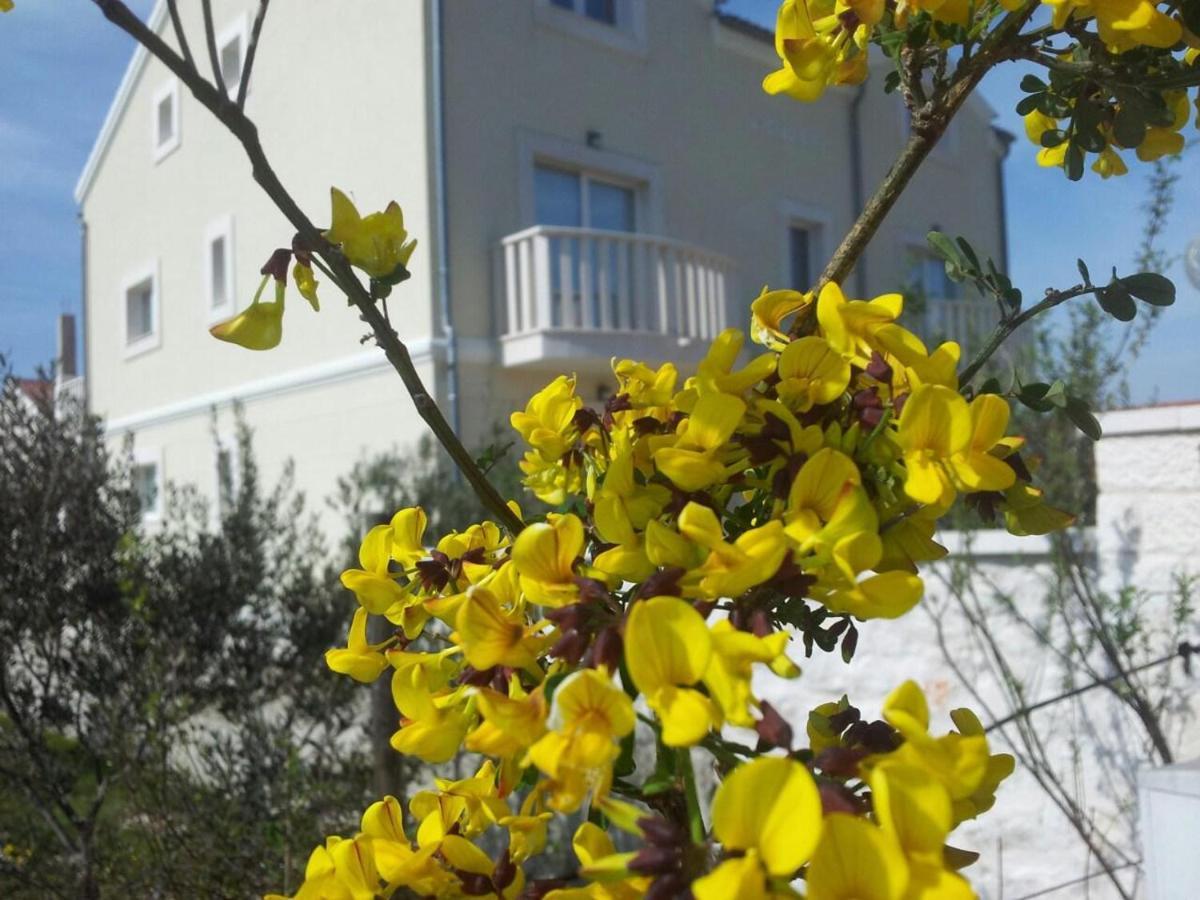 Villa Bachelor Vodice Zewnętrze zdjęcie